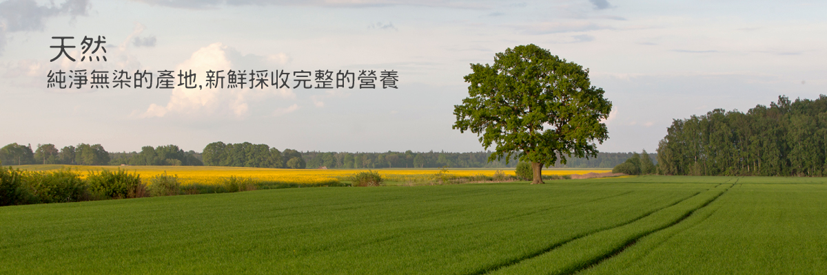 凱蒂生技大麥苗